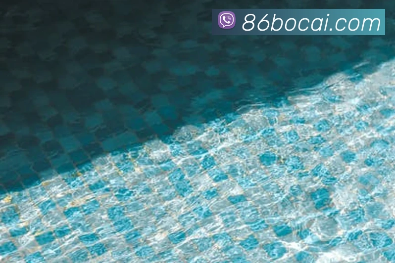 彩客吧平台生态图