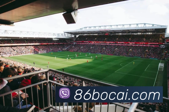 彩客吧APP 封面图